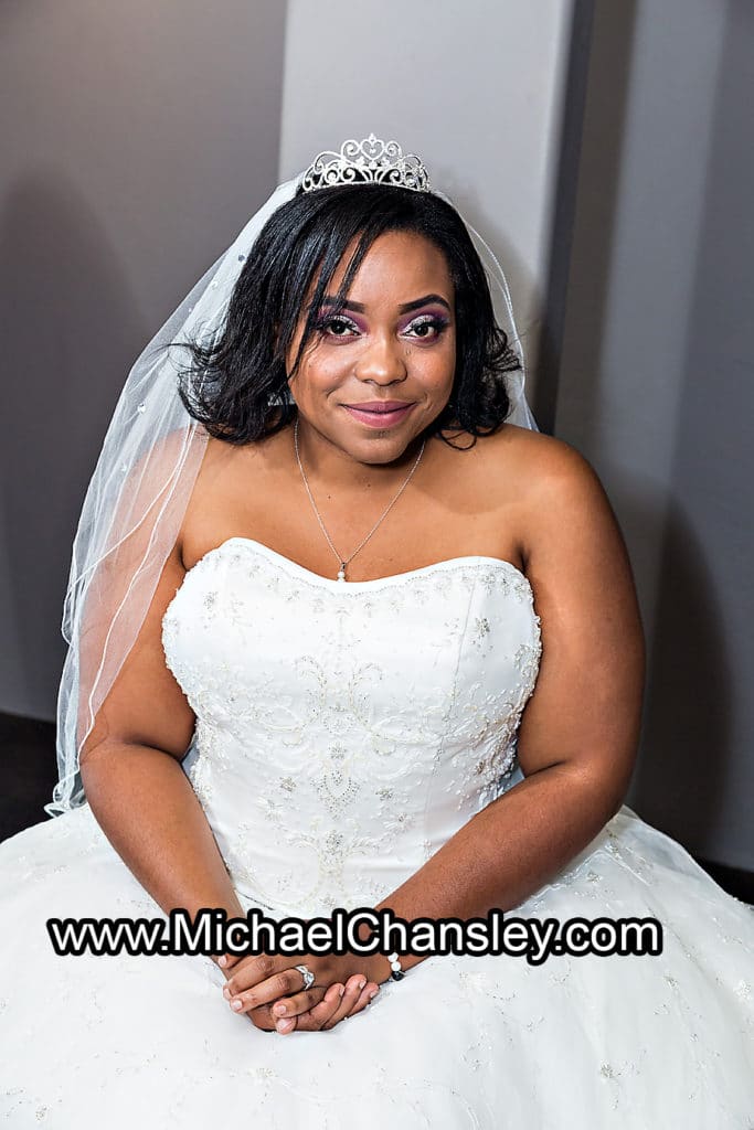 Bride portrait at Saguaro Buttes wedding