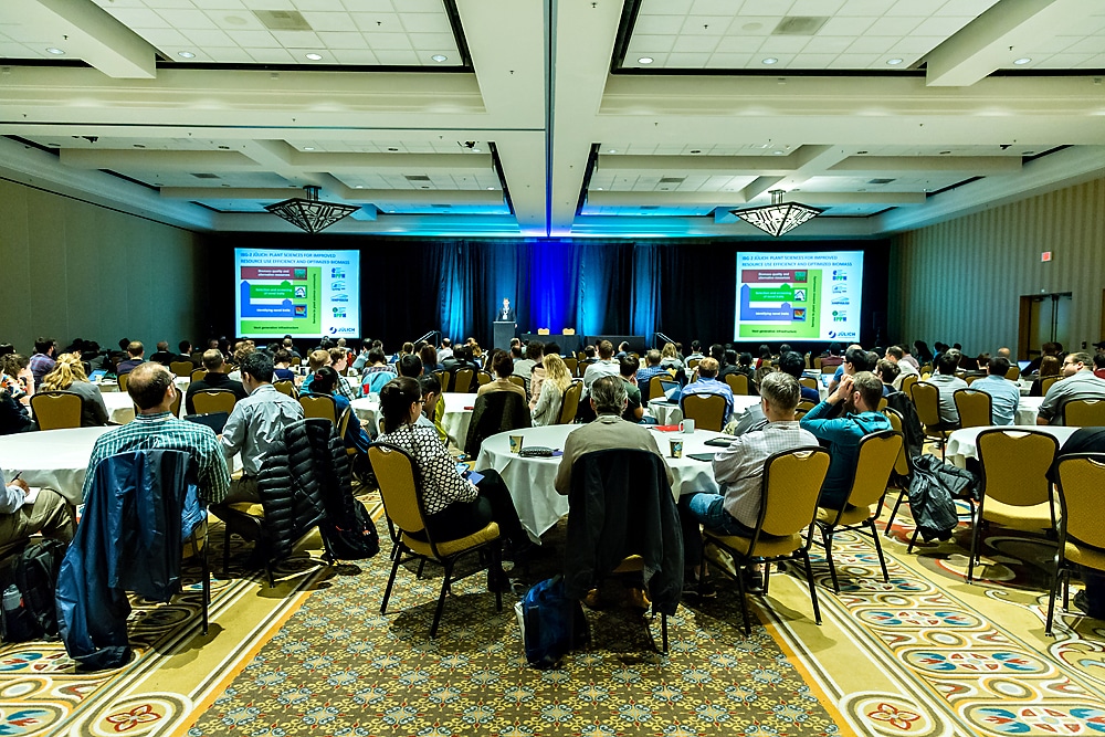 Phoenix Convention