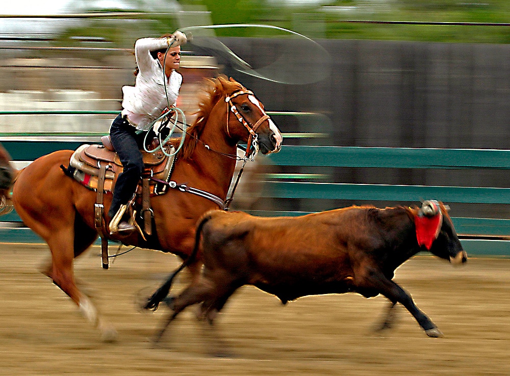 Rodeo roping competition